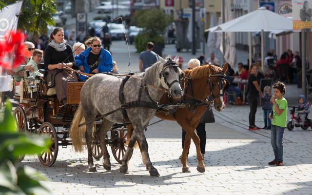 Droschkenlinie in Ellwangen