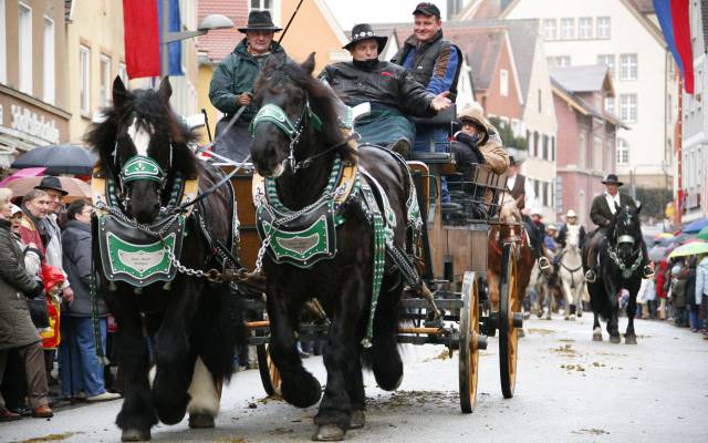 Kalter Markt Ellwangen