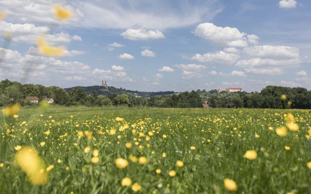 Ellwangen Landschaft